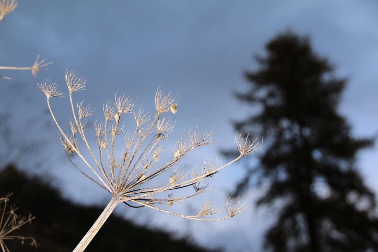 Magic Moments Διαμέρισμα Brail Εξωτερικό φωτογραφία